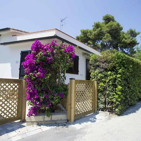 Il Caubbio Daire Lacona